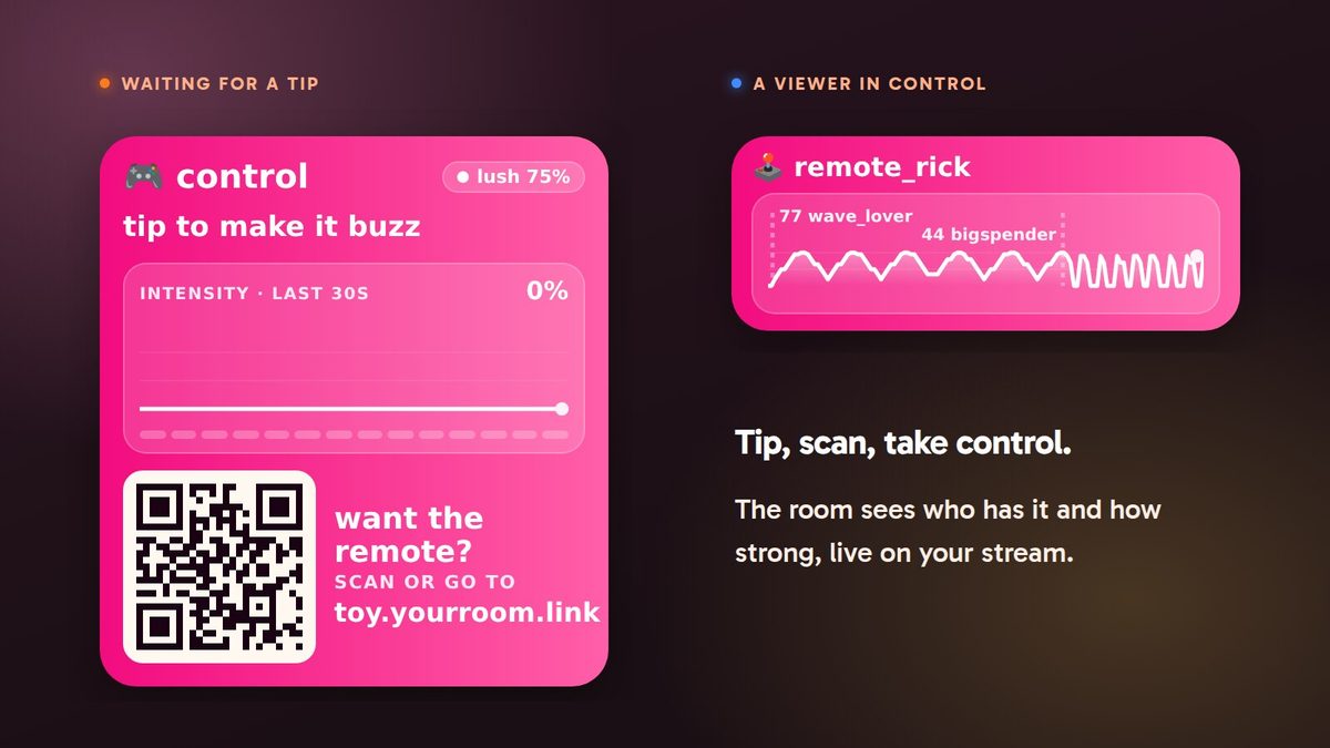 Toy control overlay: waiting for a tip with a QR code, and a viewer in control (sample data)