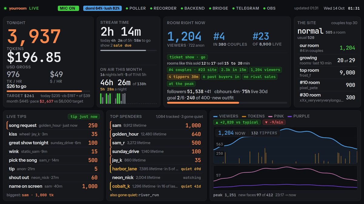 Live stats board with tokens, viewers, rank and top tippers (sample data)